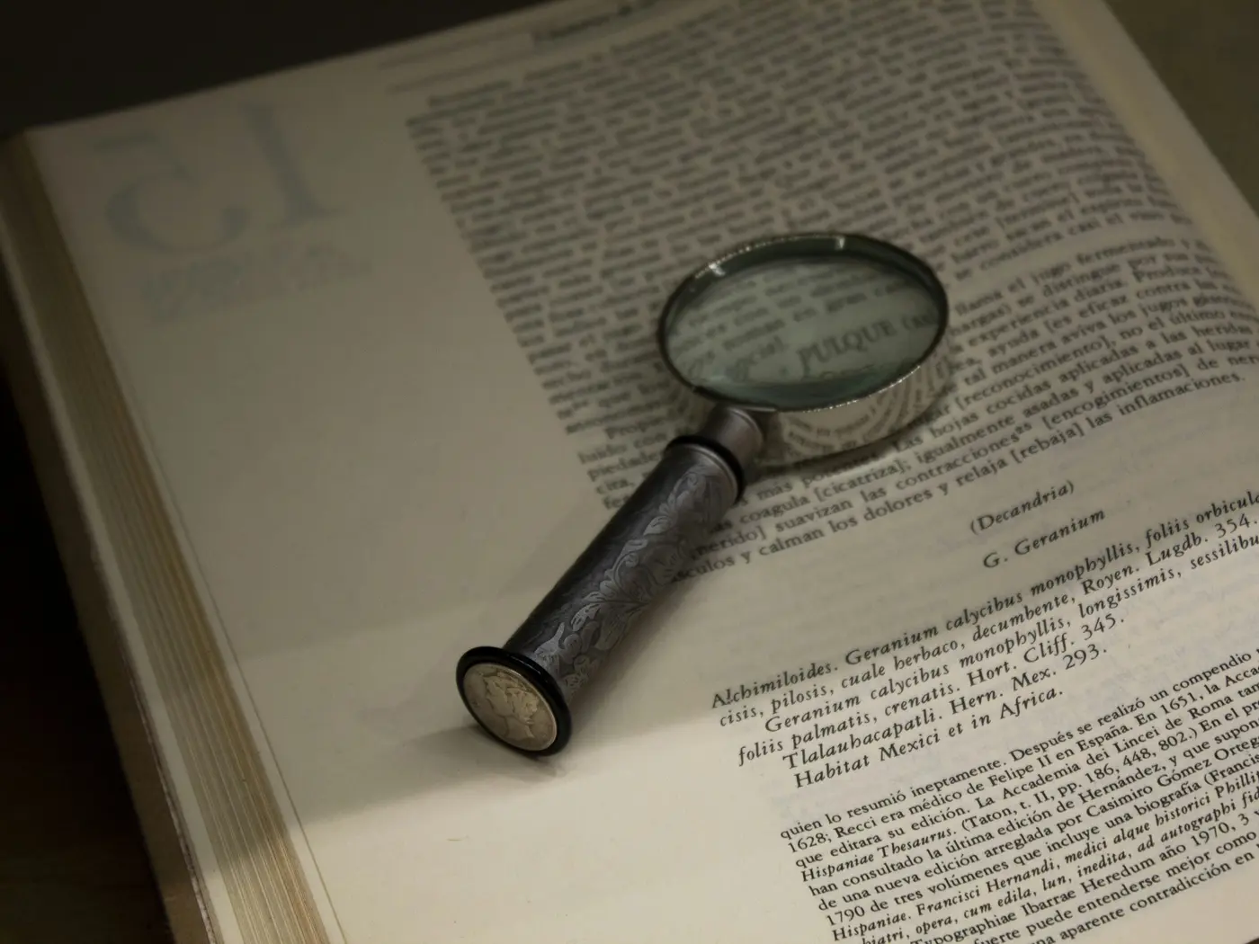 A magnifying glass over a printed page, matching the step of confirming pages are not indexed